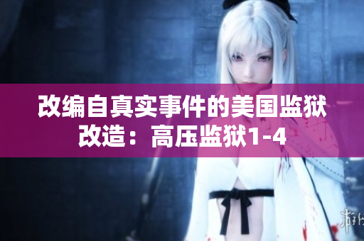 改编自真实事件的美国监狱改造：高压监狱1-4