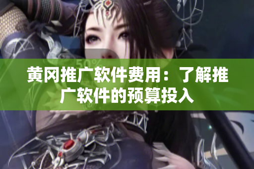 黄冈推广软件费用：了解推广软件的预算投入