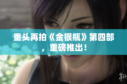重头再拍《金银瓶》第四部，重磅推出！