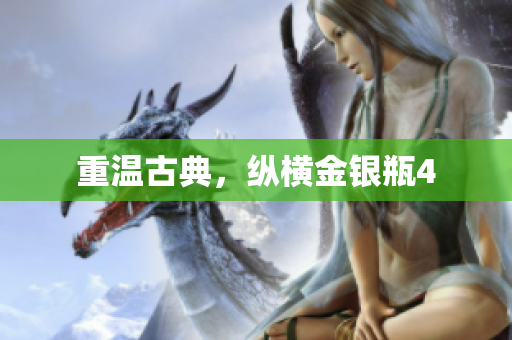 重温古典，纵横金银瓶4