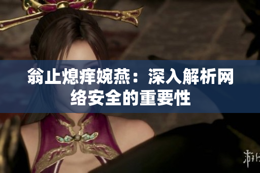 翁止熄痒婉燕：深入解析网络安全的重要性