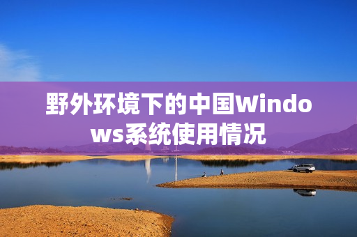 野外环境下的中国Windows系统使用情况