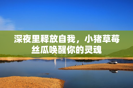 深夜里释放自我，小猪草莓丝瓜唤醒你的灵魂