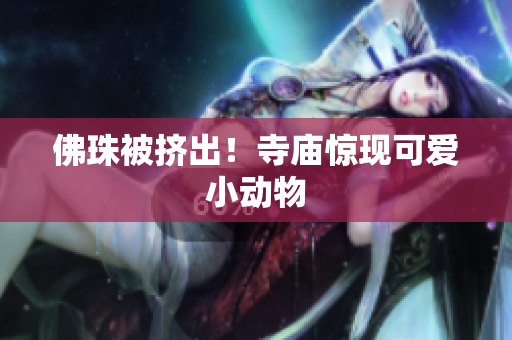 佛珠被挤出！寺庙惊现可爱小动物