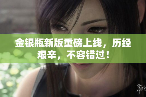 金银瓶新版重磅上线，历经艰辛，不容错过！