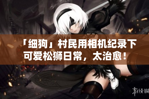 「细狗」村民用相机纪录下可爱松狮日常，太治愈！