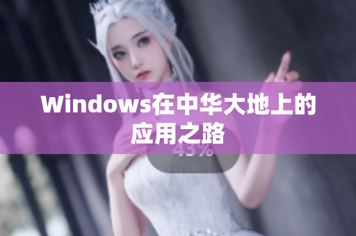 Windows在中华大地上的应用之路