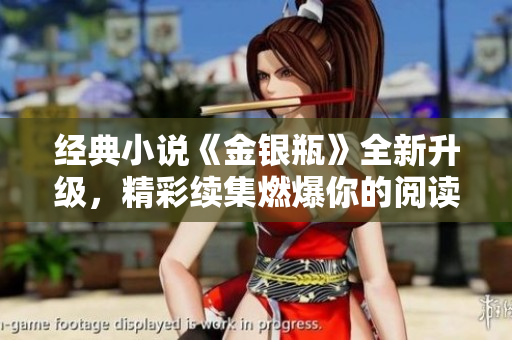 经典小说《金银瓶》全新升级，精彩续集燃爆你的阅读体验