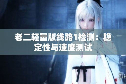 老二轻量版线路1检测：稳定性与速度测试