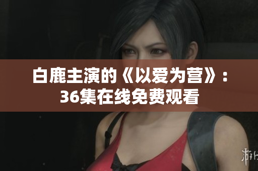 白鹿主演的《以爱为营》：36集在线免费观看