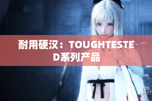耐用硬汉：TOUGHTESTED系列产品