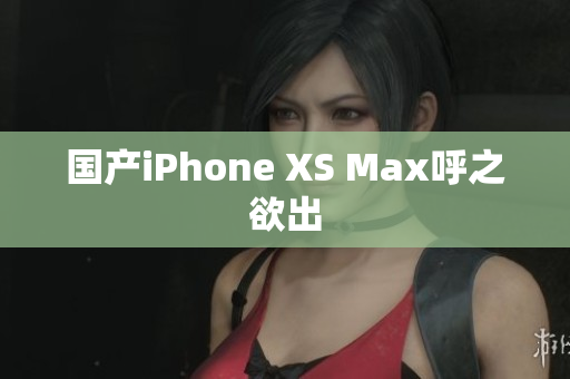 国产iPhone XS Max呼之欲出