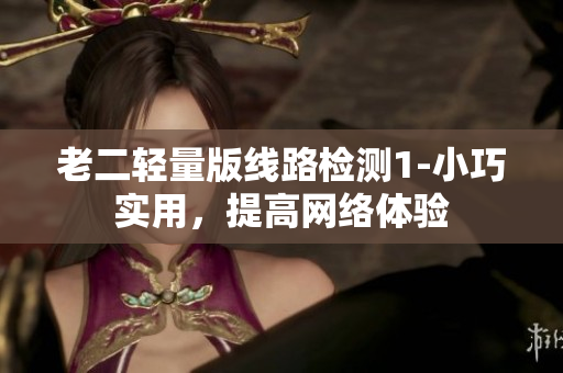 老二轻量版线路检测1-小巧实用，提高网络体验