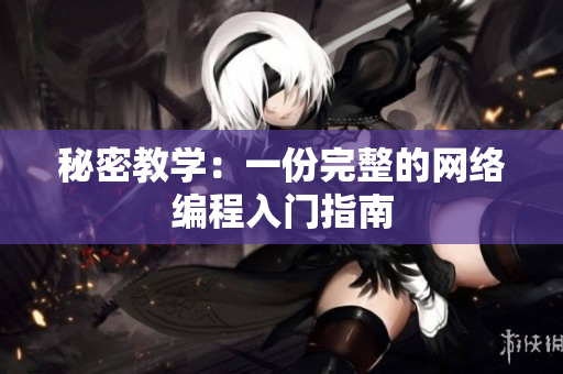 秘密教学：一份完整的网络编程入门指南