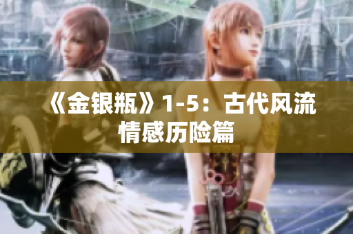 《金银瓶》1-5：古代风流情感历险篇