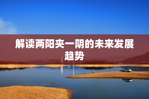 解读两阳夹一阴的未来发展趋势