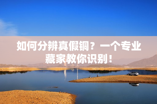 如何分辨真假铜？一个专业藏家教你识别！