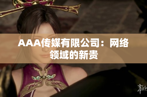 AAA传媒有限公司：网络领域的新贵