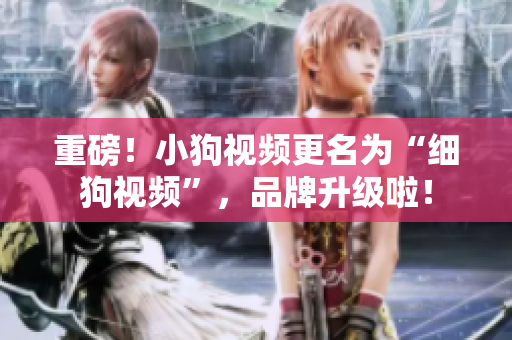重磅！小狗视频更名为“细狗视频”，品牌升级啦！