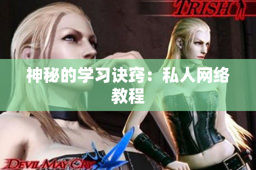 神秘的学习诀窍：私人网络教程