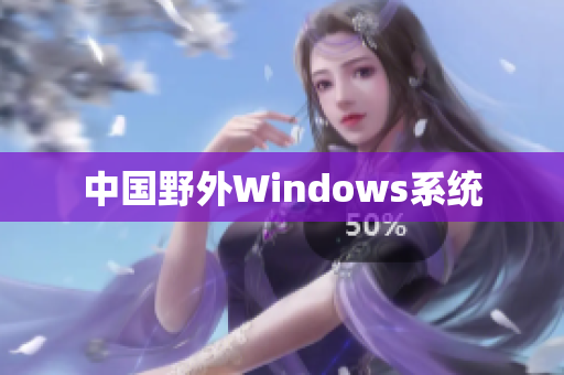 中国野外Windows系统
