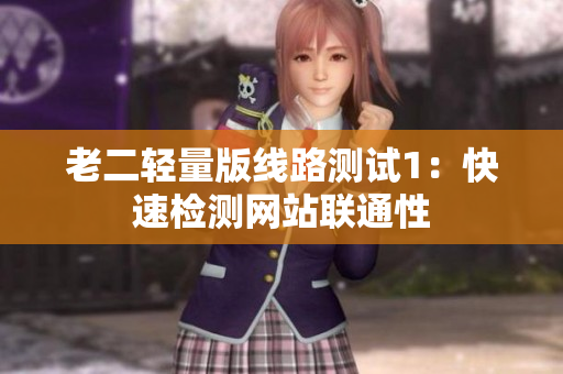 老二轻量版线路测试1：快速检测网站联通性