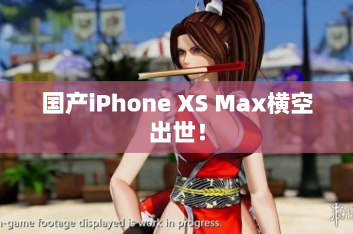 国产iPhone XS Max横空出世！