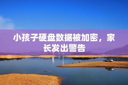 小孩子硬盘数据被加密，家长发出警告