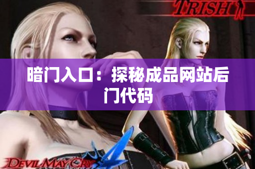 暗门入口：探秘成品网站后门代码
