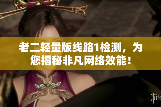 老二轻量版线路1检测，为您揭秘非凡网络效能！