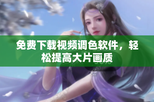 免费下载视频调色软件，轻松提高大片画质