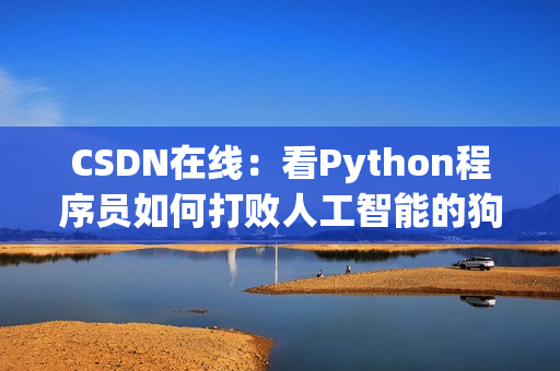 CSDN在线：看Python程序员如何打败人工智能的狗！