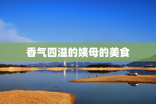 香气四溢的姨母的美食