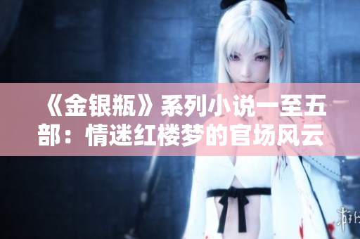 《金银瓶》系列小说一至五部：情迷红楼梦的官场风云