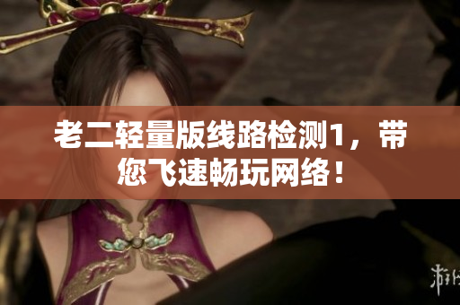 老二轻量版线路检测1，带您飞速畅玩网络！