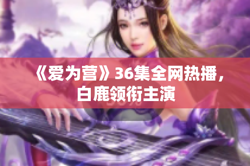 《爱为营》36集全网热播，白鹿领衔主演
