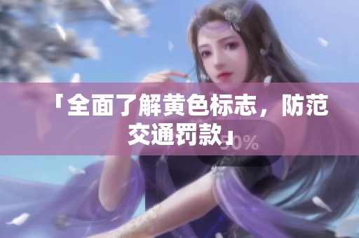 「全面了解黄色标志，防范交通罚款」