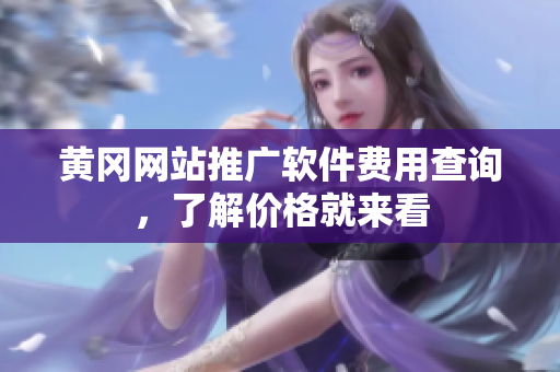 黄冈网站推广软件费用查询，了解价格就来看