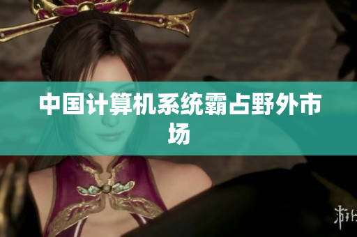 中国计算机系统霸占野外市场