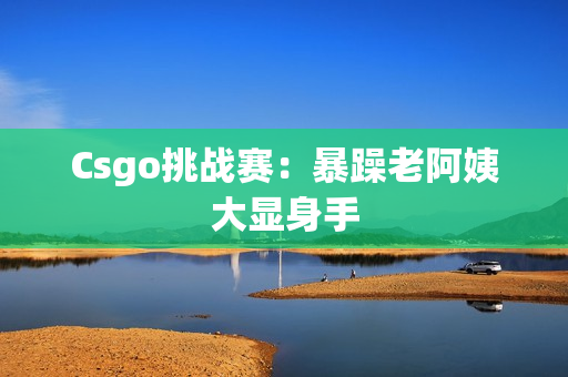 Csgo挑战赛：暴躁老阿姨大显身手