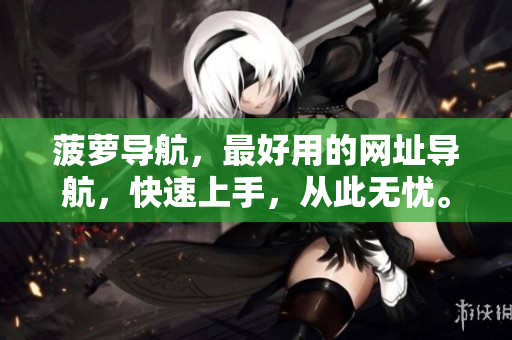 菠萝导航，最好用的网址导航，快速上手，从此无忧。