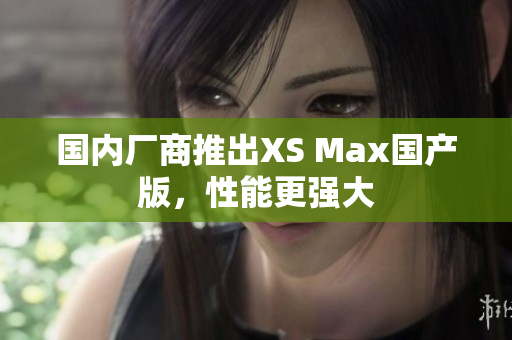 国内厂商推出XS Max国产版，性能更强大