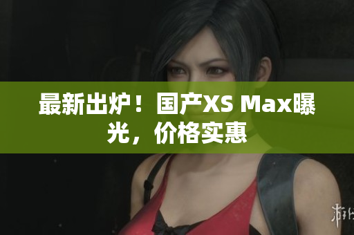 最新出炉！国产XS Max曝光，价格实惠