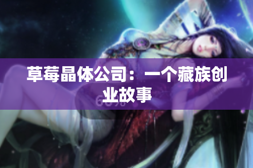 草莓晶体公司：一个藏族创业故事