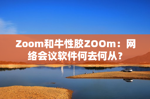 Zoom和牛性胶ZOOm：网络会议软件何去何从？