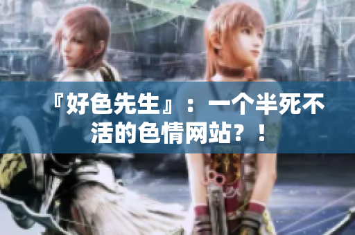 『好色先生』：一个半死不活的色情网站？！