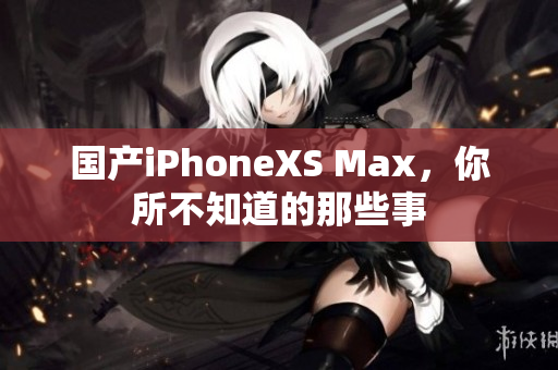 国产iPhoneXS Max，你所不知道的那些事