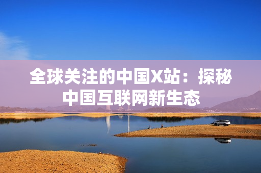 全球关注的中国X站：探秘中国互联网新生态
