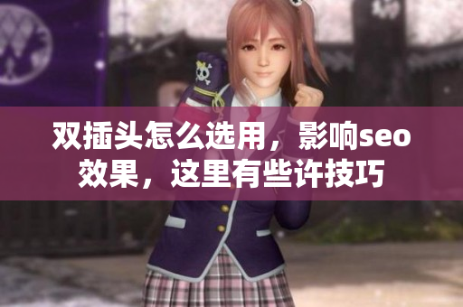 双插头怎么选用，影响seo效果，这里有些许技巧