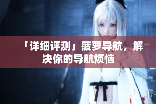 「详细评测」菠萝导航，解决你的导航烦恼
